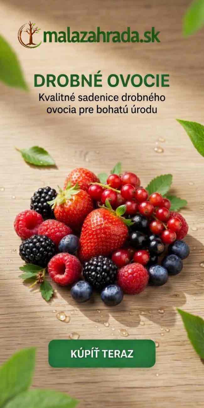 https://www.malazahrada.sk/drobne-ovocie/